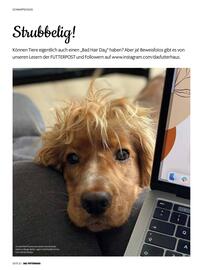 Das Futterhaus Prospekt Seite 32