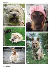 Das Futterhaus Prospekt Seite 34