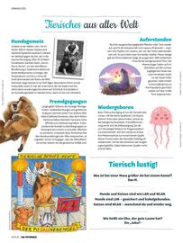 Das Futterhaus Prospekt Seite 36