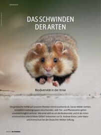 Das Futterhaus Prospekt Seite 38