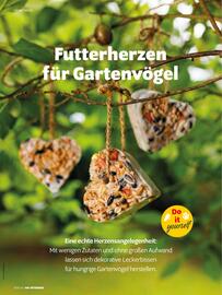 Das Futterhaus Prospekt Seite 42