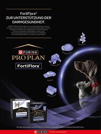 Das Futterhaus Prospekt Seite 8