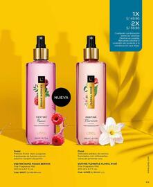 Catálogo L'Bel Página 43