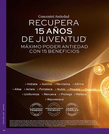 Catálogo L'Bel Página 48