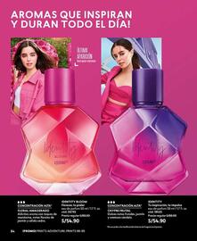 Catálogo Cyzone Página 84