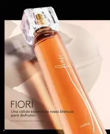 Catálogo Ésika Página 62