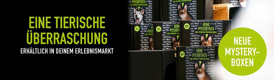 MegaZoo Flugblatt Seite 3