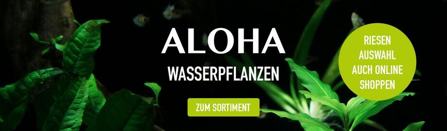 MegaZoo Flugblatt Seite 4