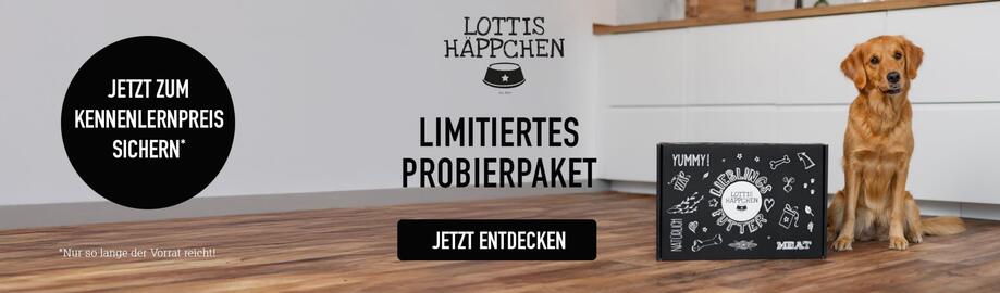 MegaZoo Flugblatt Seite 5