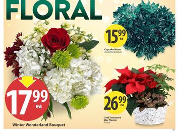 Save on Foods flyer Page 4