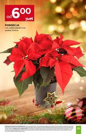 Stokrotka gazetka Strona 49