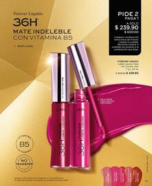 Catálogo L'Bel Página 67