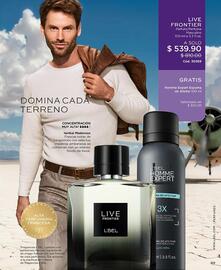 Catálogo L'Bel Página 89