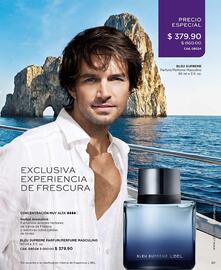 Catálogo L'Bel Página 91