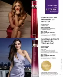 Catálogo L'Bel Página 105