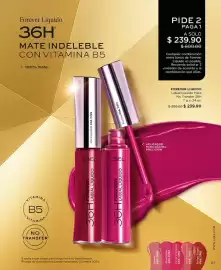 Catálogo L'Bel Página 67