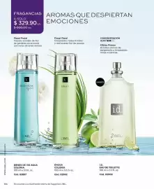 Catálogo L'Bel Página 94