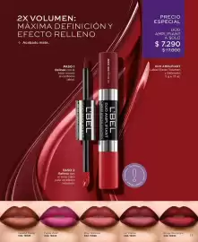 Catálogo L'Bel Página 17