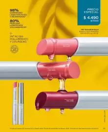 Catálogo L'Bel Página 43