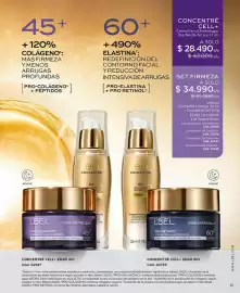 Catálogo L'Bel Página 51