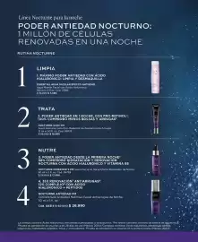 Catálogo L'Bel Página 60