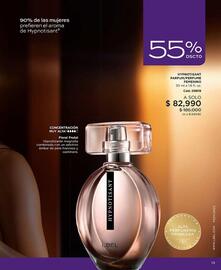 Catálogo L'bel Página 13