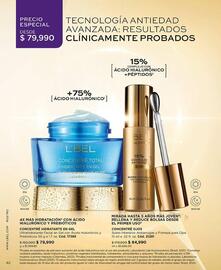 Catálogo L'bel Página 42