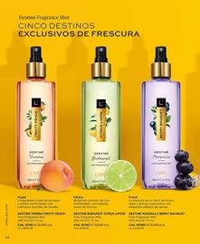 Catálogo L'bel Página 56