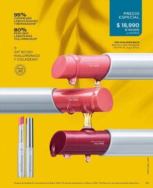 Catálogo L'bel Página 65