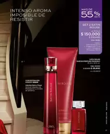 Catálogo L'bel Página 17