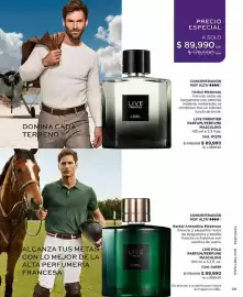 Catálogo L'bel Página 29