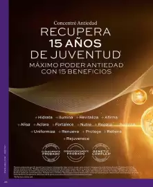 Catálogo L'bel Página 38