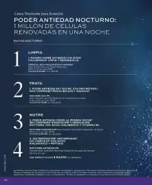 Catálogo L'bel Página 46