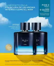 Catálogo L'bel Página 61