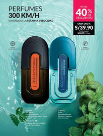 Catálogo Avon Página 70