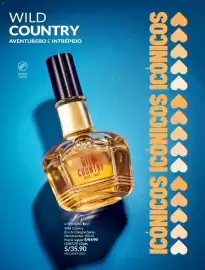 Catálogo Avon Página 79