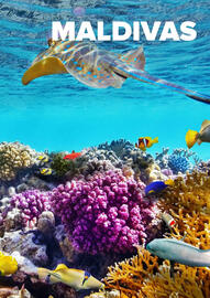 Catálogo Viajes El Corte Inglés Página 39