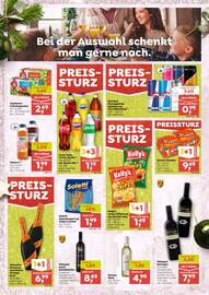 ADEG Flugblatt Seite 6