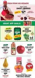 Stew Leonard's flyer week 51 Page 6