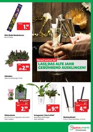 Eurogast Grissemann Flugblatt woche 52 Seite 11