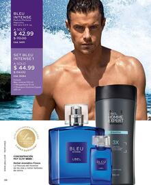 Catálogo L'bel Página 38