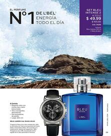 Catálogo L'bel Página 39