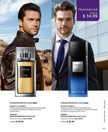 Catálogo L'bel Página 45