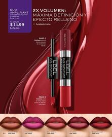 Catálogo L'bel Página 84