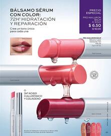 Catálogo L'bel Página 85