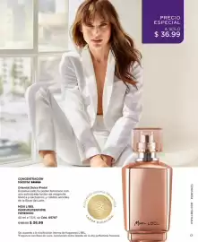 Catálogo L'bel Página 17