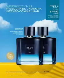 Catálogo L'bel Página 35