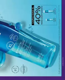 Catálogo L'bel Página 53