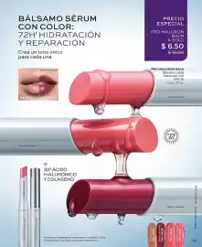 Catálogo L'bel Página 85