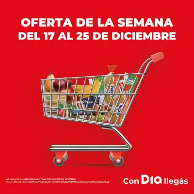 Folleto Supermercados DIA